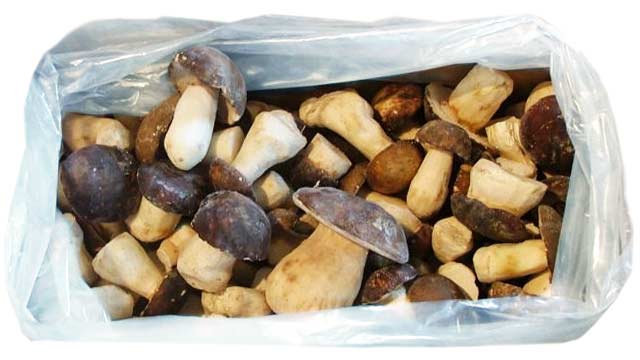 Frozen Porcini Mushrooms Whole