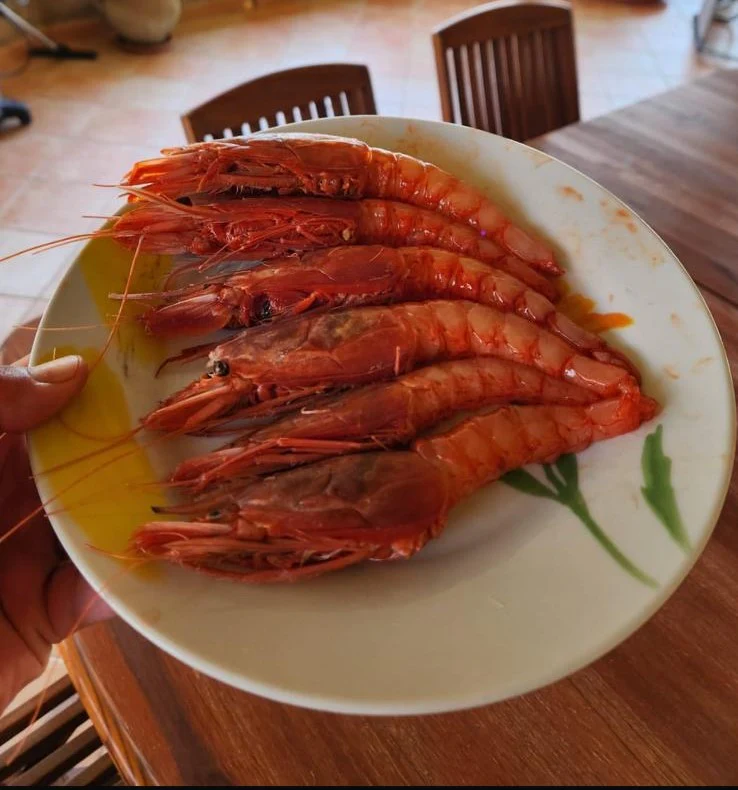 Red Shrimps - Gambero Rosso di Mazara del Vallo Sicily - XL U10