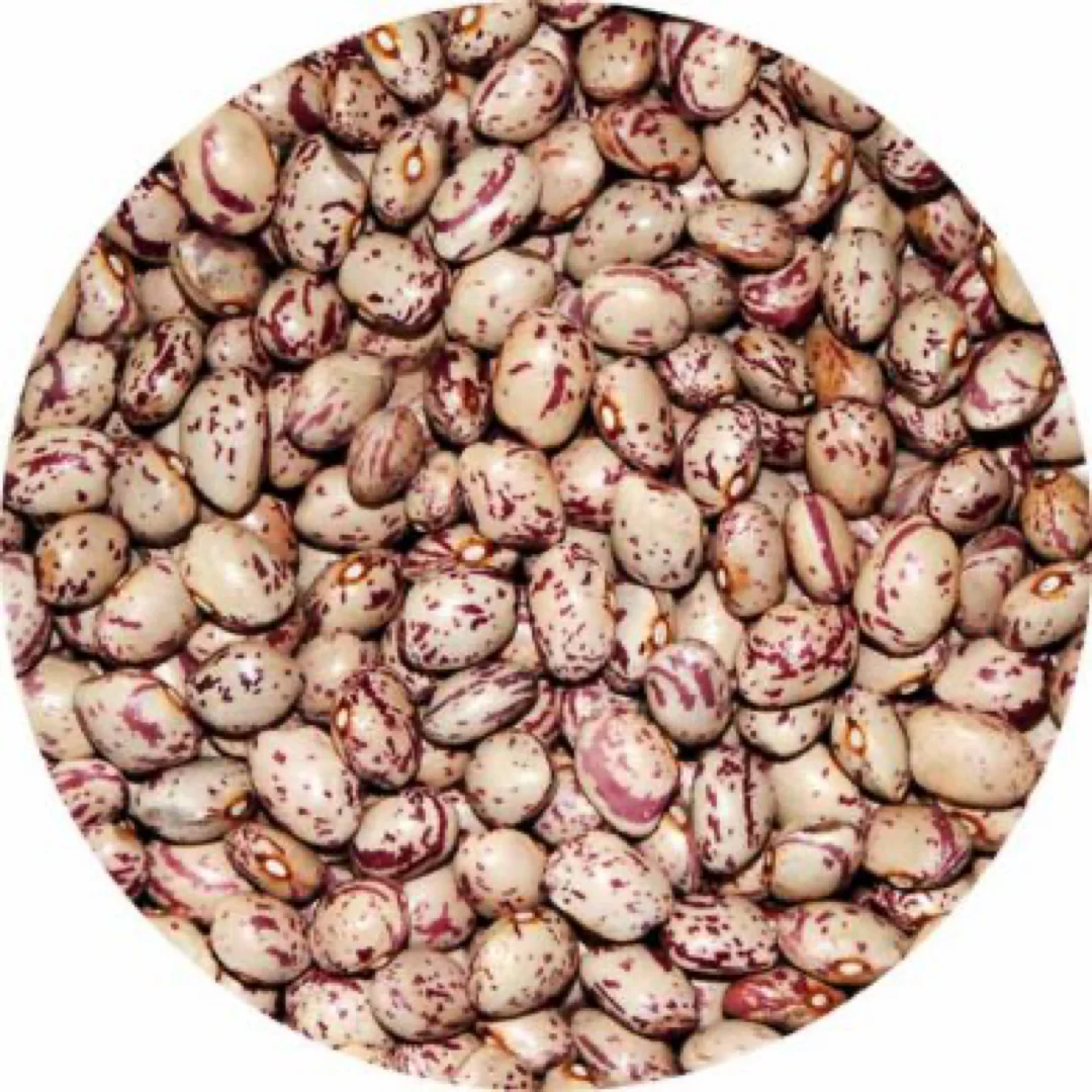Italian Borlotti Cranberry Beans - Image 3