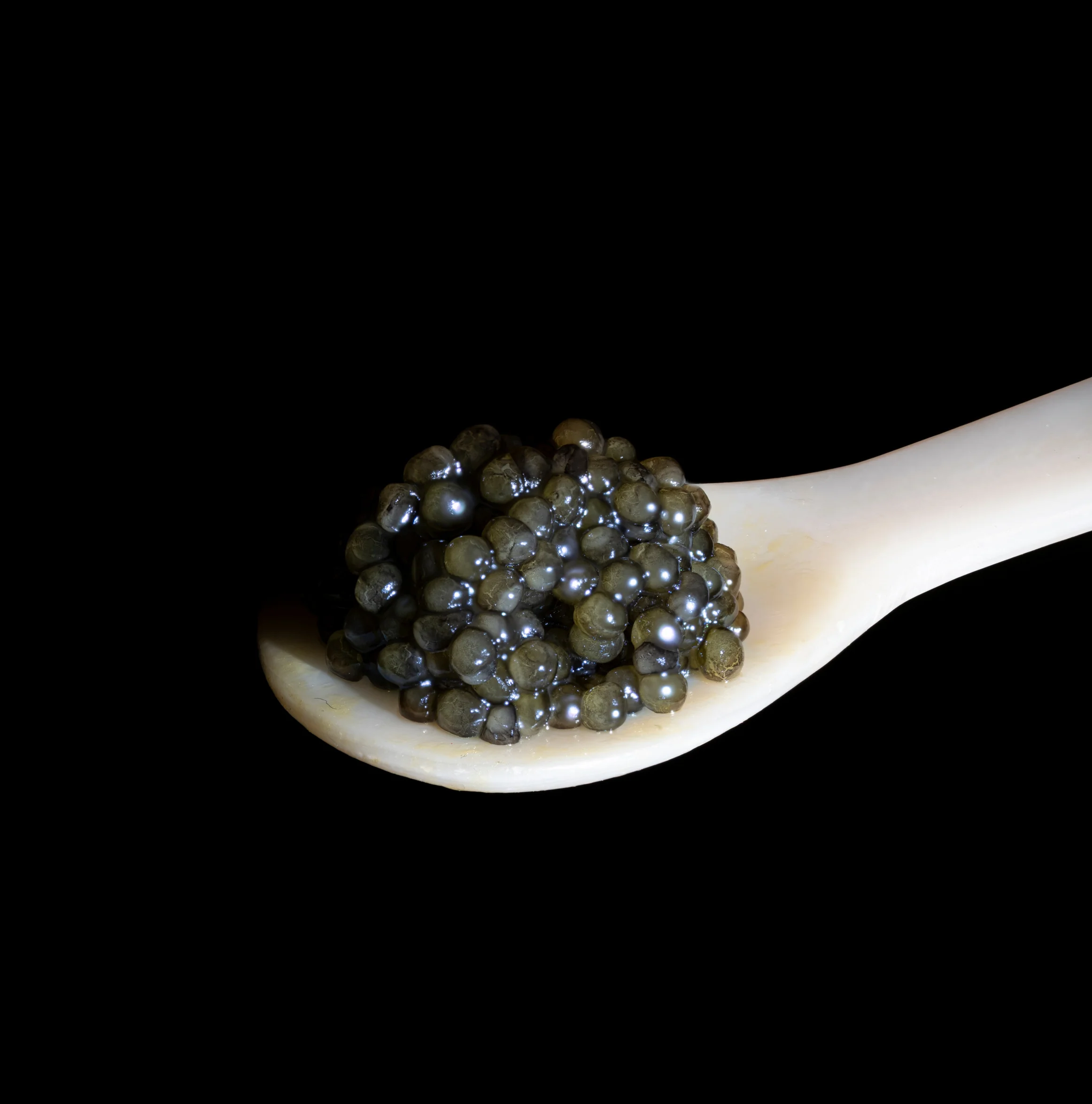 Italian Sevruga Caviar - Image 2
