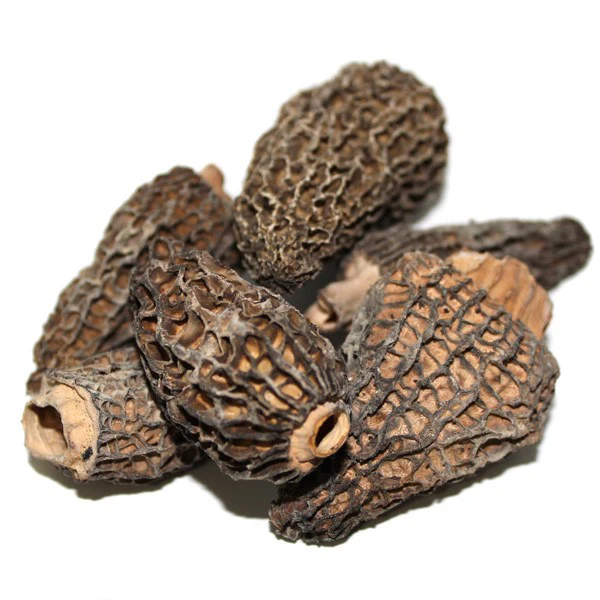 Wild Morels Mushrooms Dried